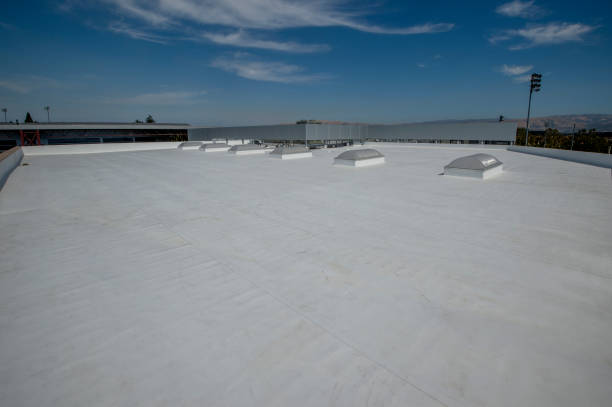 Best Roof Moss and Algae Removal  in San Jose, CA