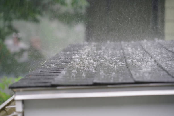 Best Roof Ventilation Installation  in San Jose, CA